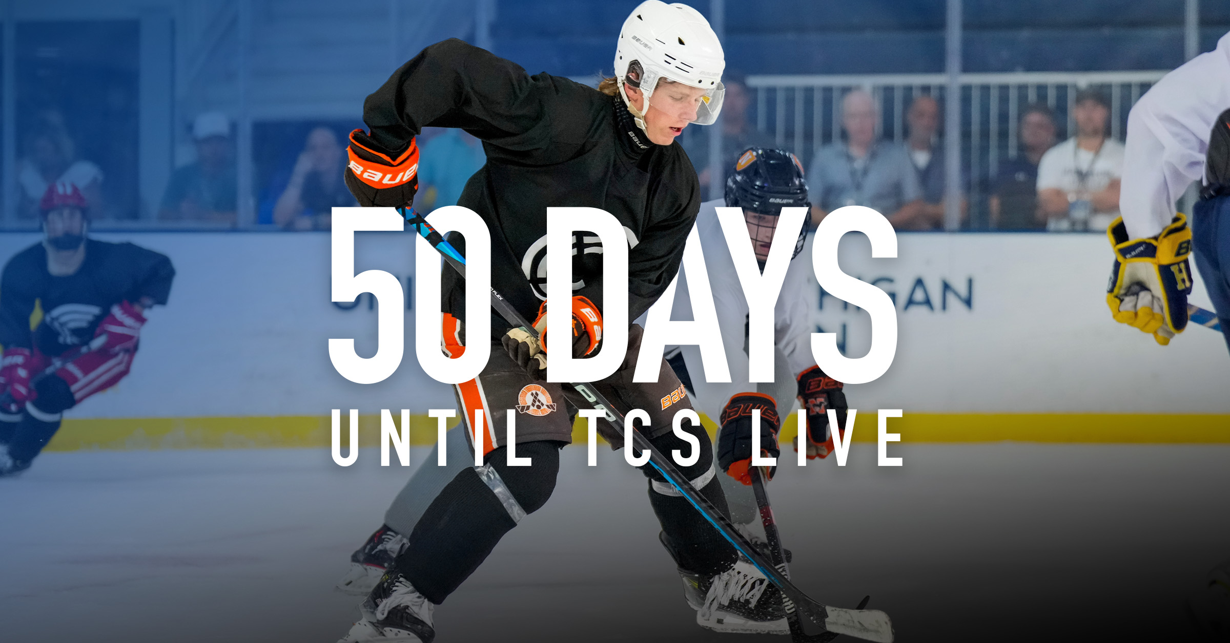 50 Reasons to Attend TCS Live